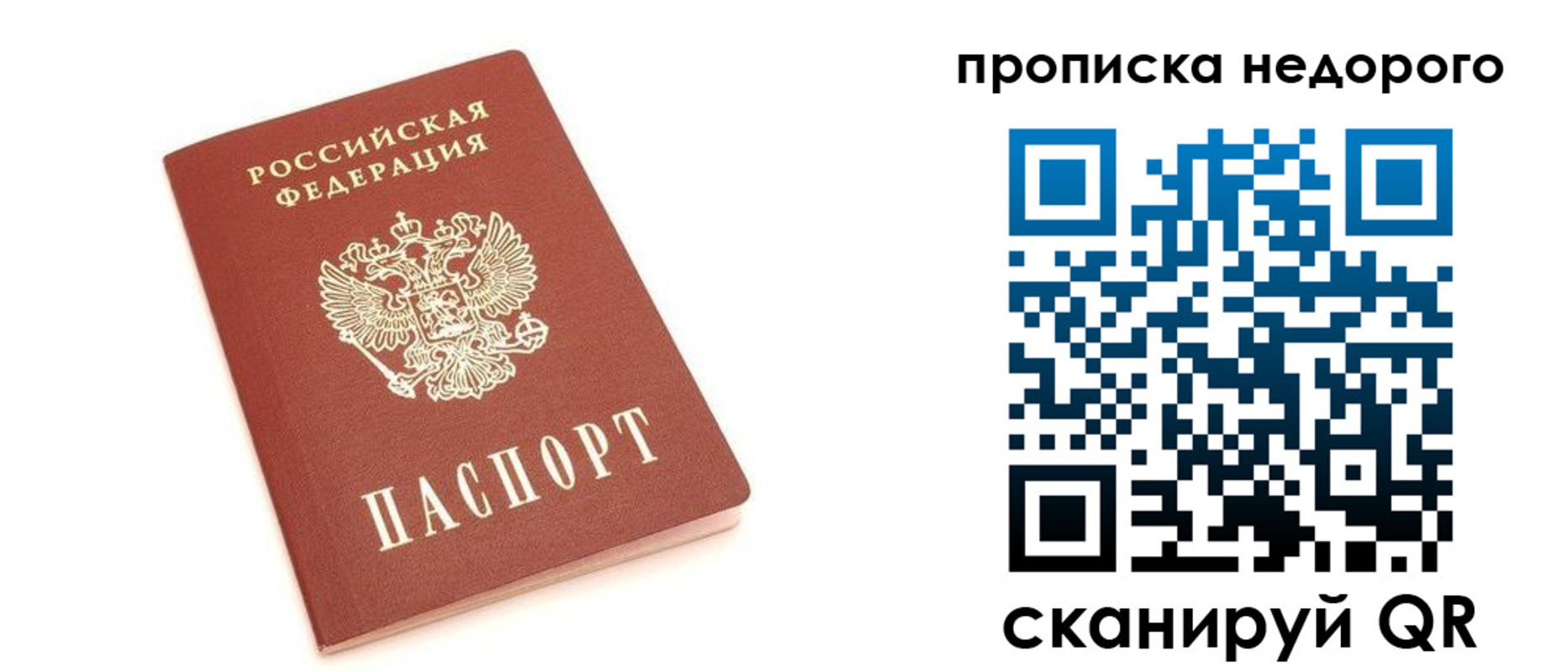 прописка законно в Заринске
